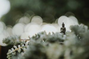 Buddha on a leaf - Four Noble Truths
