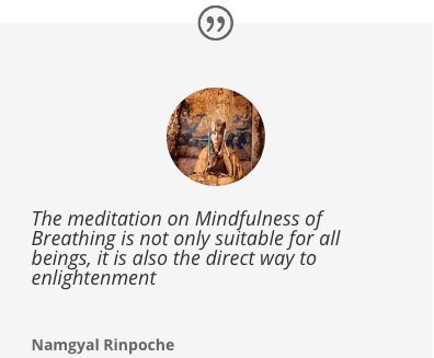 Namgyal Rinpoche Quote
