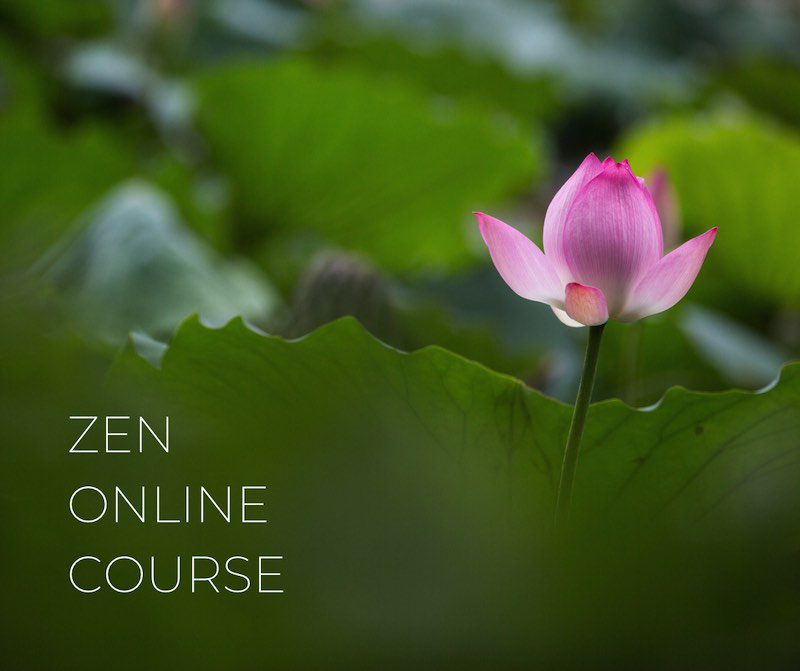 Zen online course - Clear Sky Center