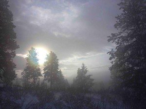 Misty Winter Scene at Clear Sky Meditation Center