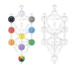 The Tree of Life