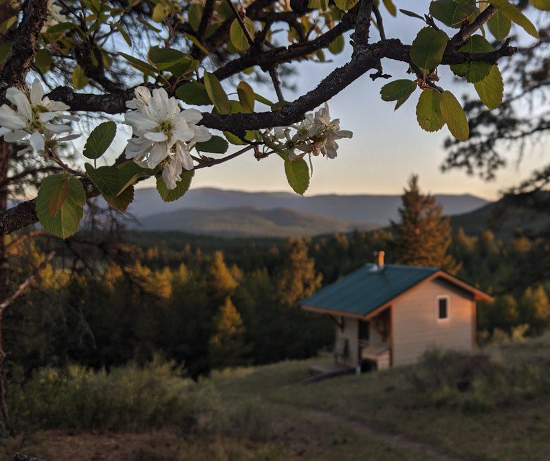 Meditation and wellness retreat cabins