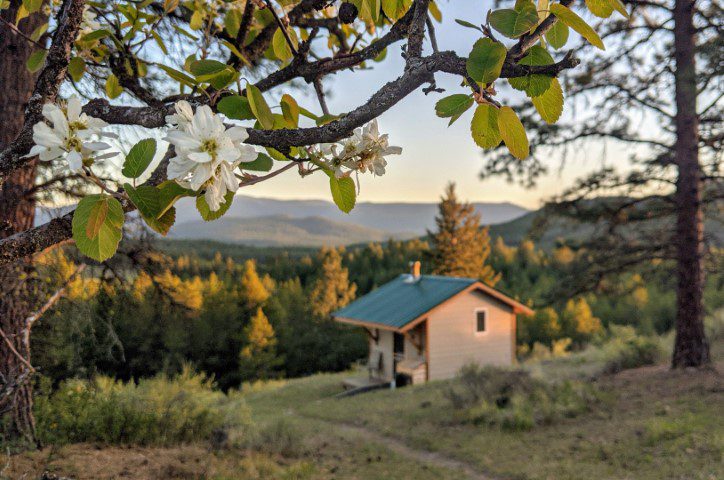 Cabin and tree blossoms at meditation retreat center