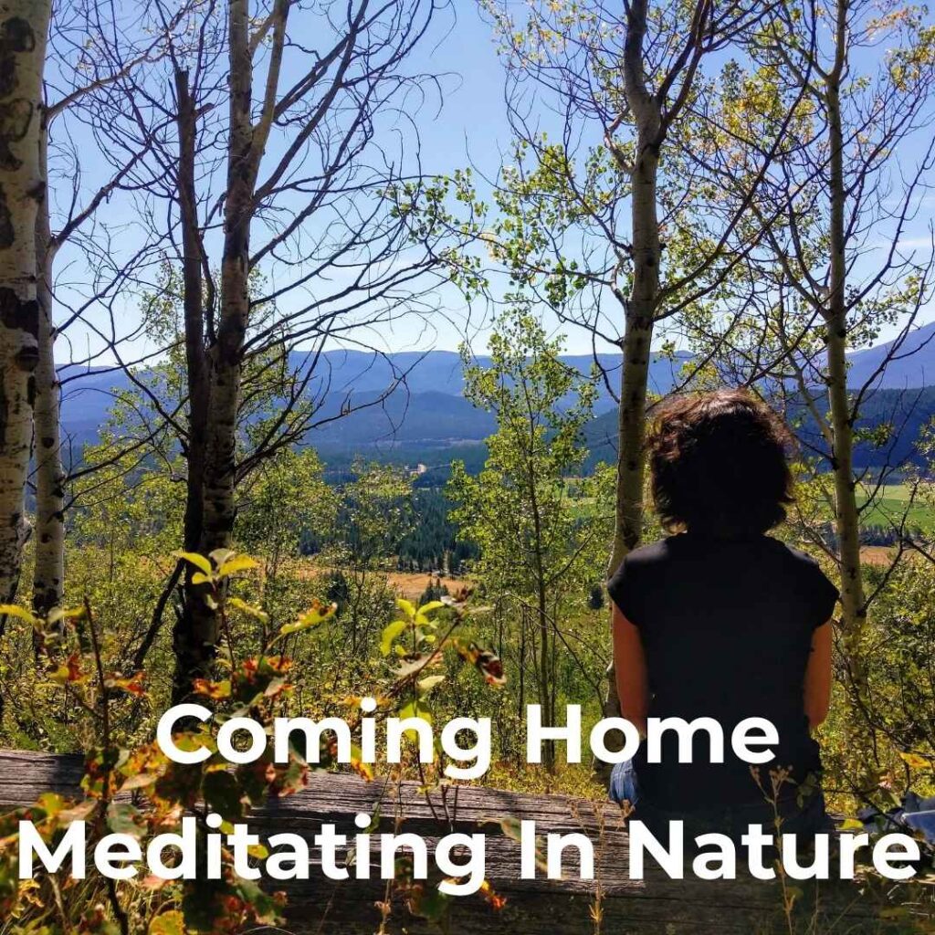 ComingHome_MeditatingInNature
