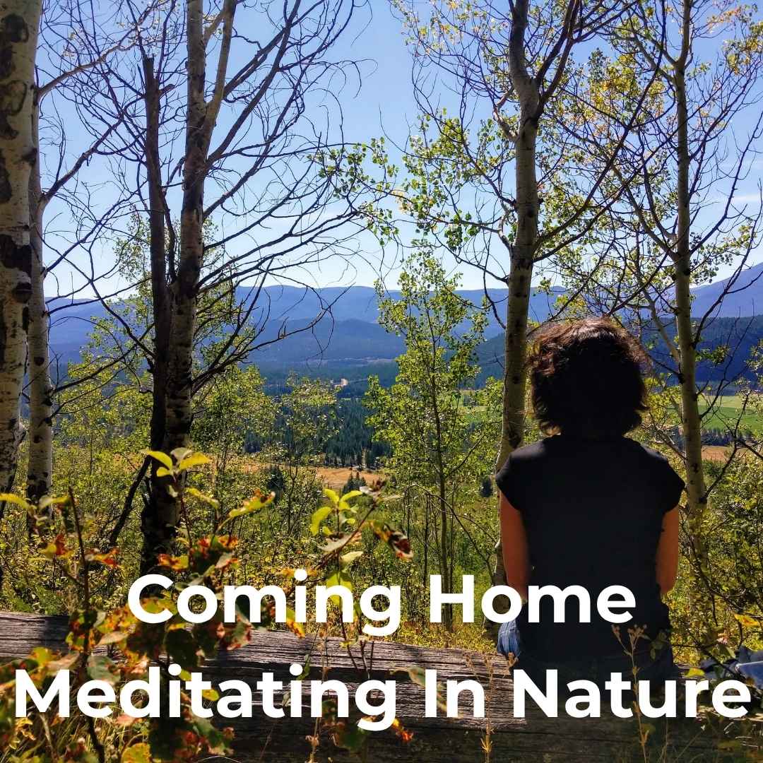ComingHome_MeditatingInNature