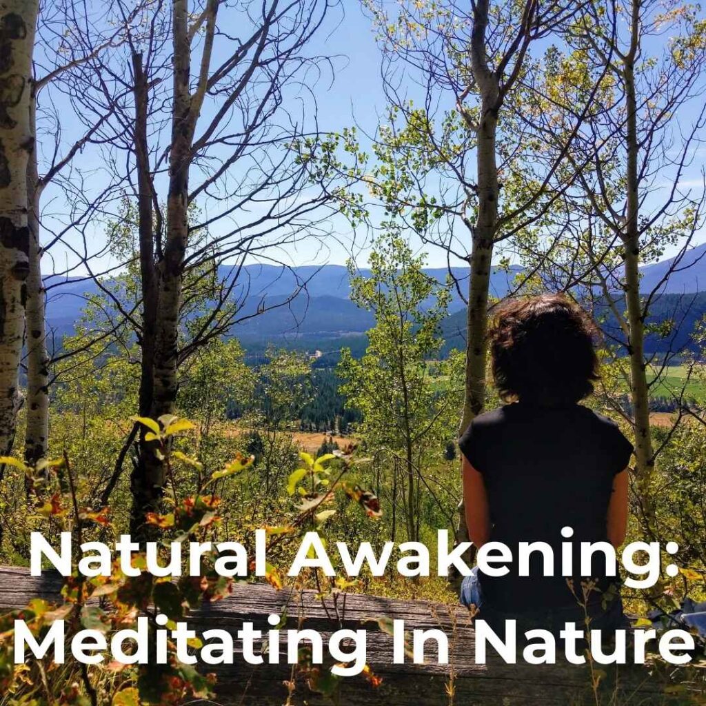 Natural Awakening: Meditating In Nature