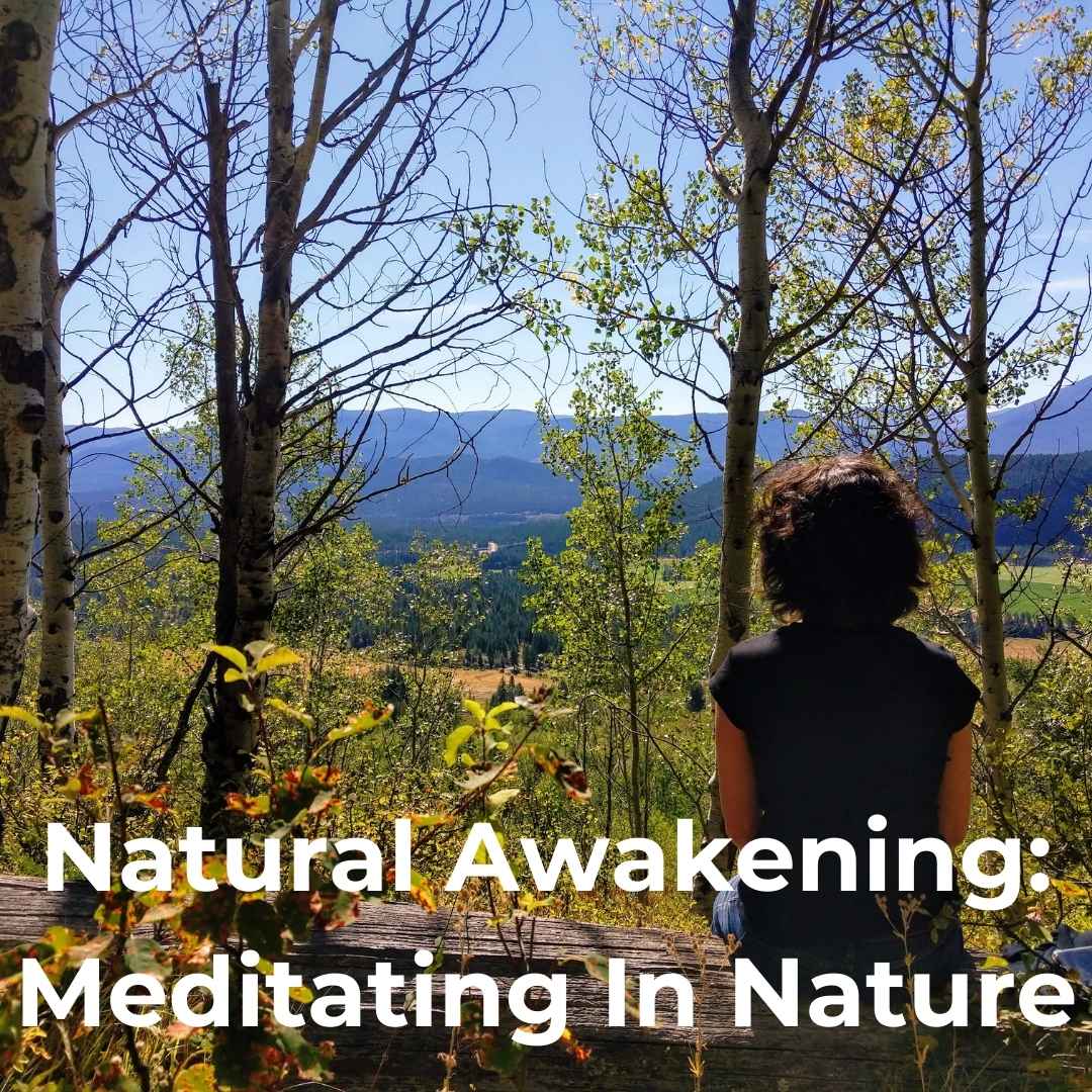 Natural Awakening: Meditating In Nature