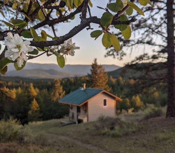 Space to unplug: our cabins are free of electricity and are heated by wood-stove.
